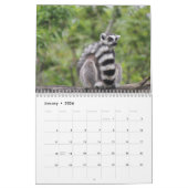Calendrier Lemur 2025 (Jan 2026)