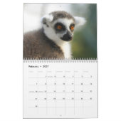 Calendrier Lemur 2025 (Feb 2027)