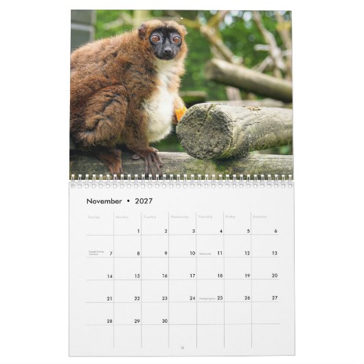 Calendrier Lémurien 2027 (Nov 2027)