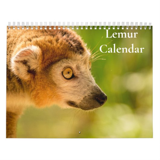 Calendrier Lémurien 2027 (Protection)