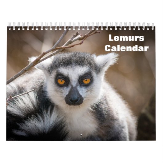Calendrier Lemurs 2025 (Protection)