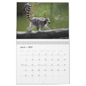 Calendrier Lemurs 2025 (Mar 2027)