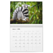 Calendrier Lemurs 2025 (Mar 2026)