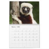 Calendrier Lemurs 2025 (Feb 2026)