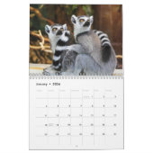 Calendrier Lemurs 2025 (Jan 2026)