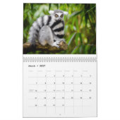 Calendrier Lemurs 2025 (Mar 2027)