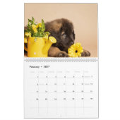 Calendrier Léonard (Feb 2027)