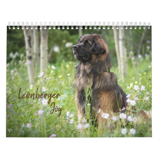 Calendrier Leonberger Joy (Protection)