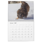 Calendrier Leonberger Joy (Jan 2027)