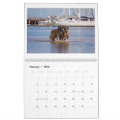 Calendrier Leonbergers (Feb 2026)