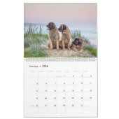 Calendrier Leonbergers (Jan 2026)