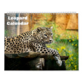 Calendrier Leopard 2025 (Protection)