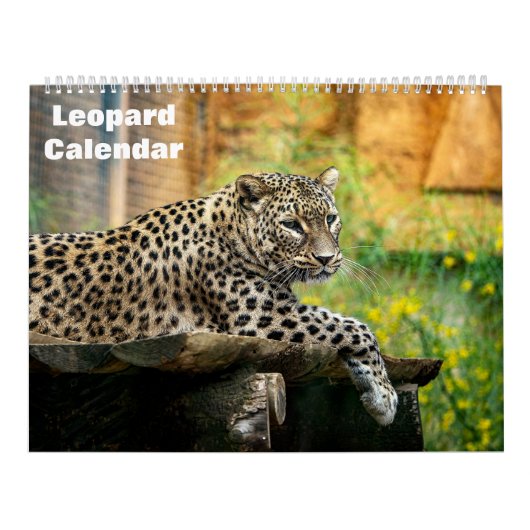 Calendrier Leopard 2025 (Protection)