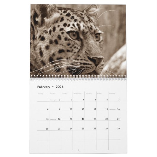 Calendrier Leopard 2026 (Feb 2026)