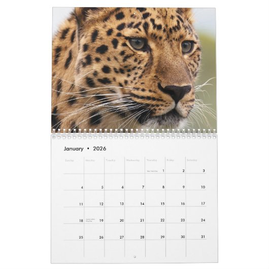 Calendrier Leopard 2026 (Jan 2026)