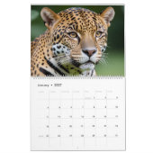 Calendrier Léopard 2027 (Jan 2027)