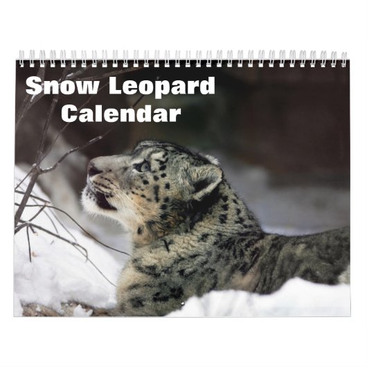Calendrier Léopard des neiges 2027 (Protection)
