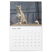 Calendrier Léopard des neiges 2027 (Jan 2027)
