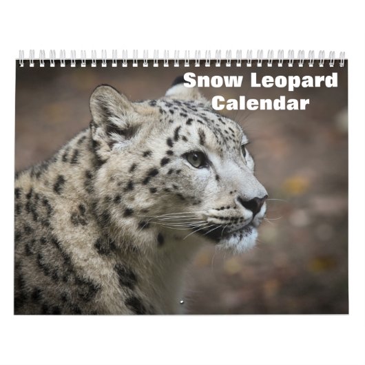 Calendrier Léopard des neiges 2027 (Protection)