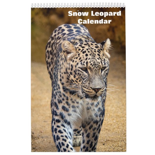 Calendrier Léopard des neiges 2027 (Protection)