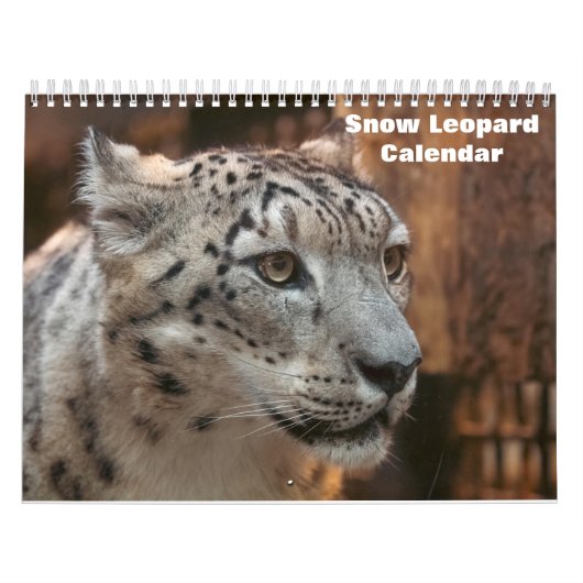 Calendrier Léopard des neiges 2027 (Protection)
