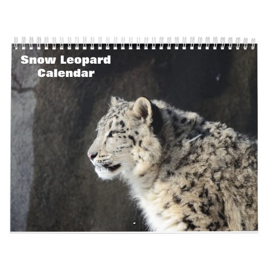 Calendrier Léopard des neiges 2027 (Protection)