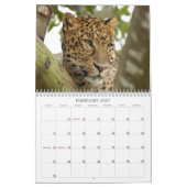 Calendrier LeopardCheetaro013, léopard Cheetaro (Feb 2027)