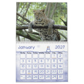 Calendrier LeopardSundari_010, léopard (Jan 2027)