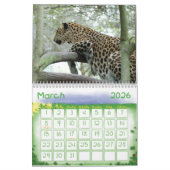 Calendrier LeopardSundari_010, léopard (Mar 2026)