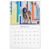 Calendrier Leos À Oz (Feb 2027)