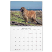 Calendrier Leos À Oz (Jan 2027)