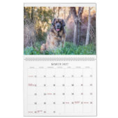 Calendrier Leos À Oz (Mar 2027)