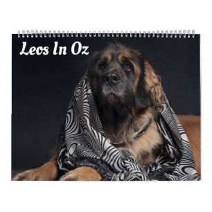 Calendrier Leos À Oz