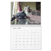 Calendrier L'équipe ICat classent pour toujours (Jan 2027)