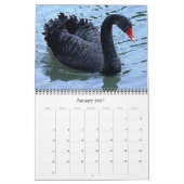 Calendrier Les 12 animaux les plus curieux de la planète (Jan 2027)