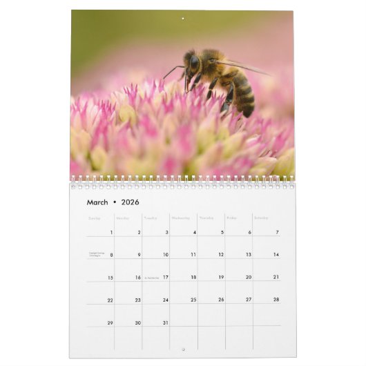 Calendrier Les abeilles de miel et autres hyménoptères calend (Mar 2026)