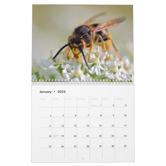 Calendrier Les abeilles de miel et autres hyménoptères calend (Jan 2026)