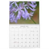 Calendrier Les abeilles Merveilleuses abeilles Dans Le Calend (Jan 2027)