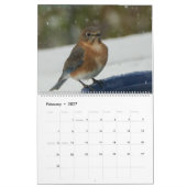 Calendrier Les amateurs de Bluebird (Feb 2027)