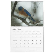 Calendrier Les amateurs de Bluebird (Mar 2027)