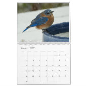 Calendrier Les amateurs de Bluebird (Jan 2027)