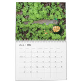 Calendrier " Les animaux s'amusent ! "Calendrier (Mar 2026)