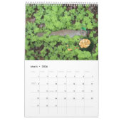 Calendrier " Les animaux s'amusent ! "Calendrier (Mar 2026)