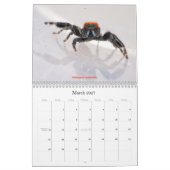 Calendrier Les araignées les plus folles (Mar 2027)