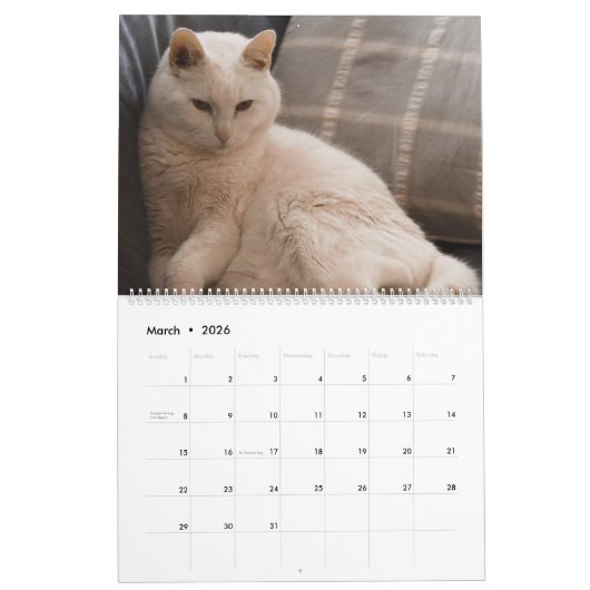 Calendrier Les beaux chats blancs de 2021 (Mar 2026)