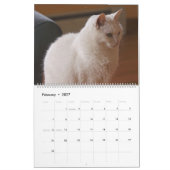 Calendrier Les beaux chats blancs de 2021 (Feb 2027)