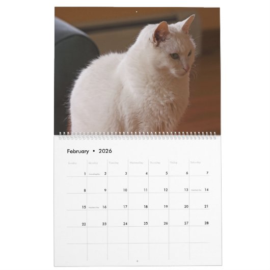Calendrier Les beaux chats blancs de 2021 (Feb 2026)