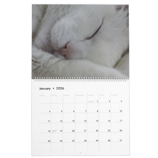 Calendrier Les beaux chats blancs de 2021 (Jan 2026)
