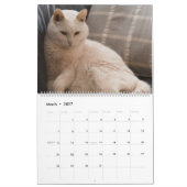 Calendrier Les beaux chats blancs de 2021 (Mar 2027)
