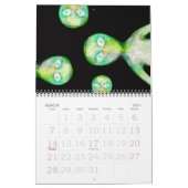 Calendrier Les Bits 2010 De Whimsy Calendar (Mar 2027)